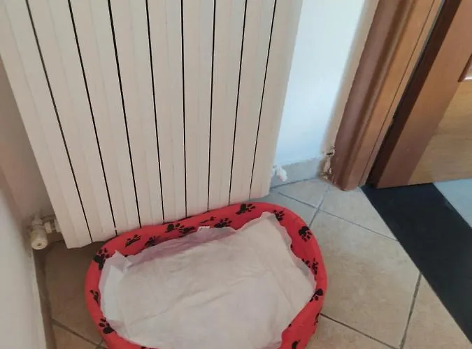 Casa Del Menegotto 別荘 *